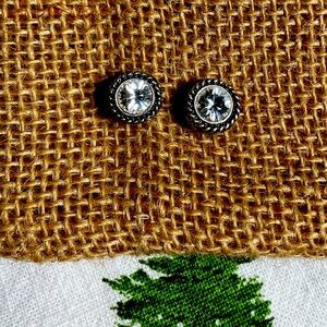 Beautiful costume stud earrings.